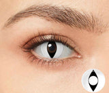 Contacts