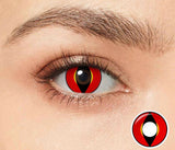 Contacts