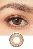 Contacts