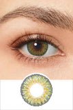 Contacts
