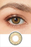 Contacts